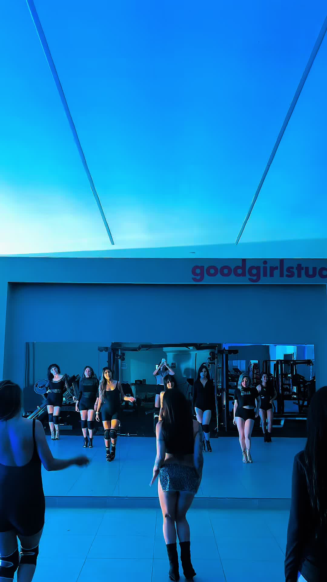 @GOODGIRLSTUDIO | heels | twerk