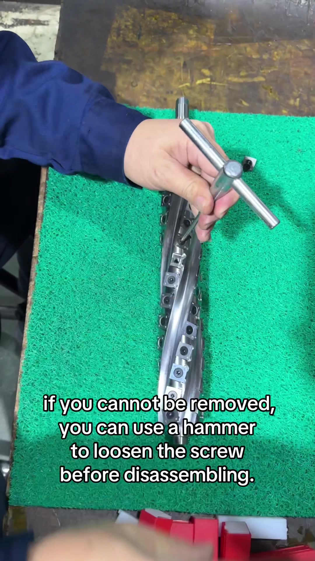 @David Lin