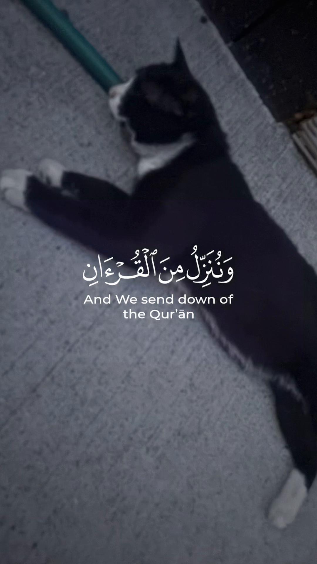 @Sunnah Select Shop
