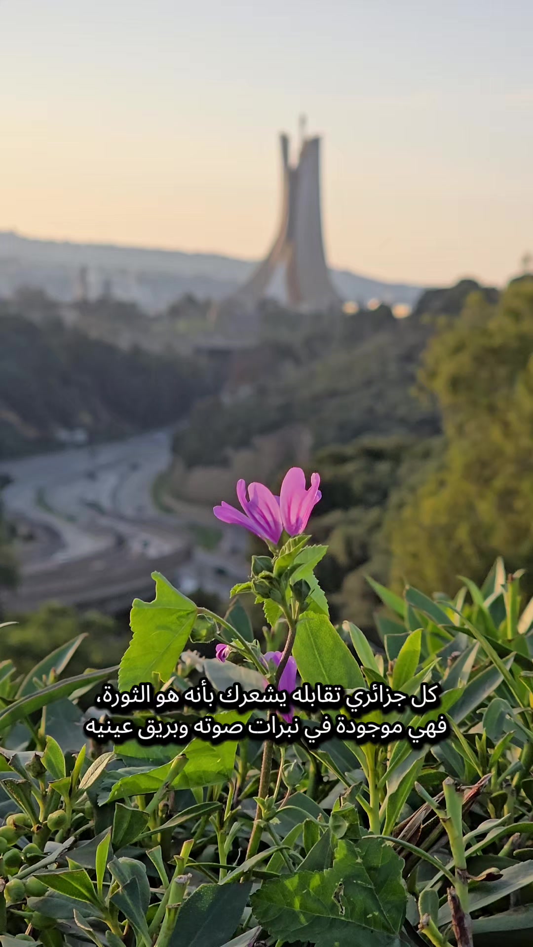 @Corners Of Algeria 🇩🇿