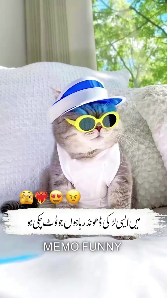 @desi boy