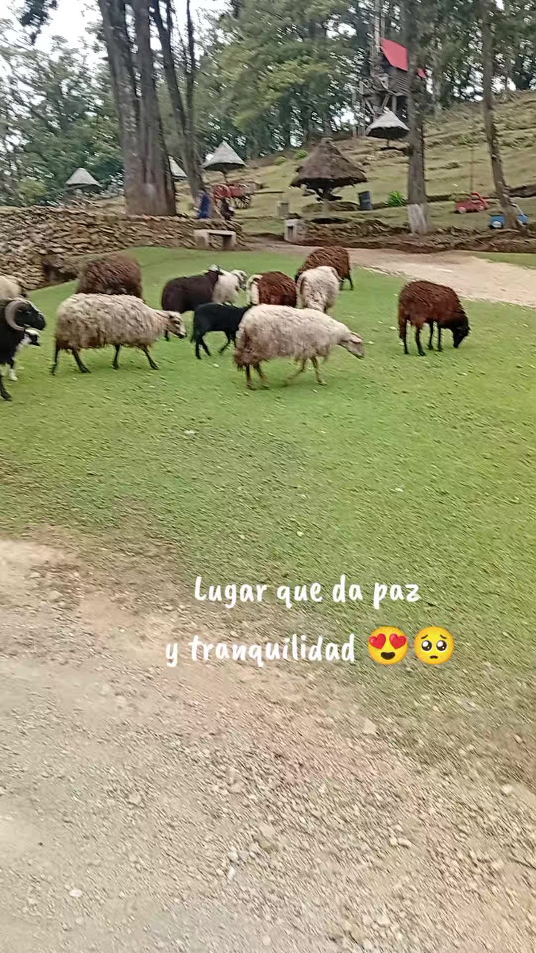 @Seliiii Barrera 😍🥺👑