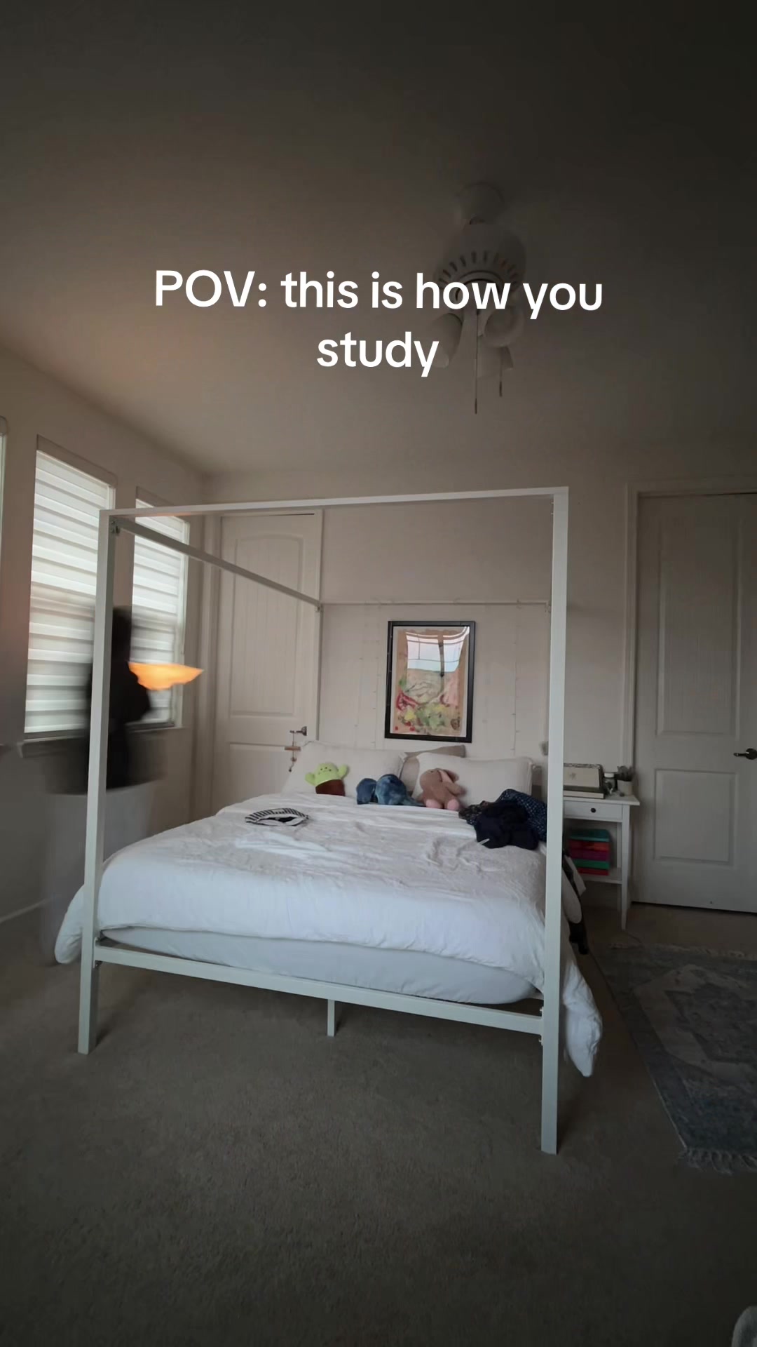 @tutustudies