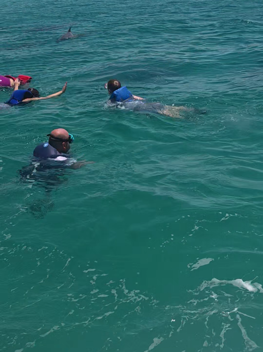@Shell Island Dolphin Tours 🐬