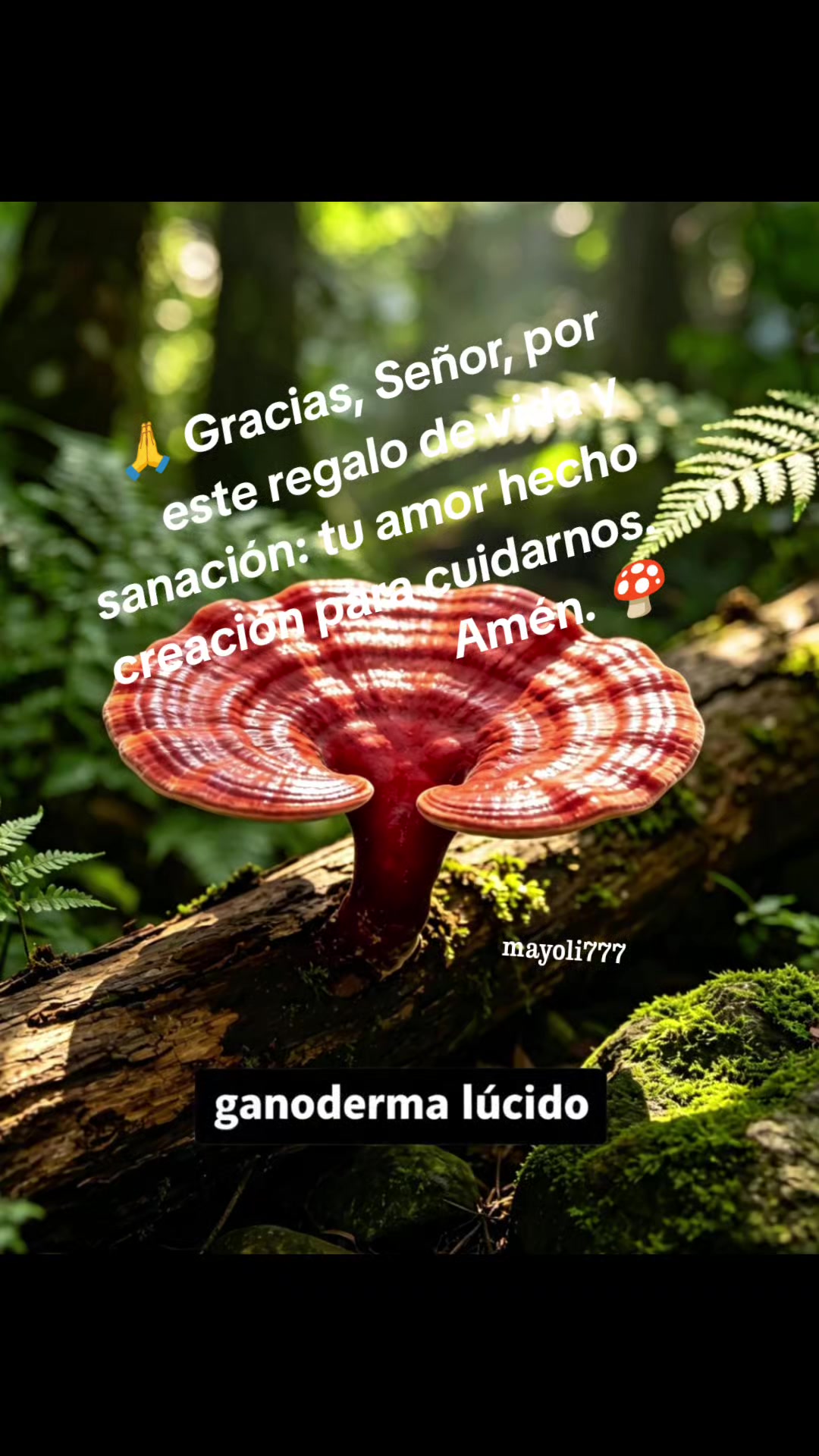@Mayoli777