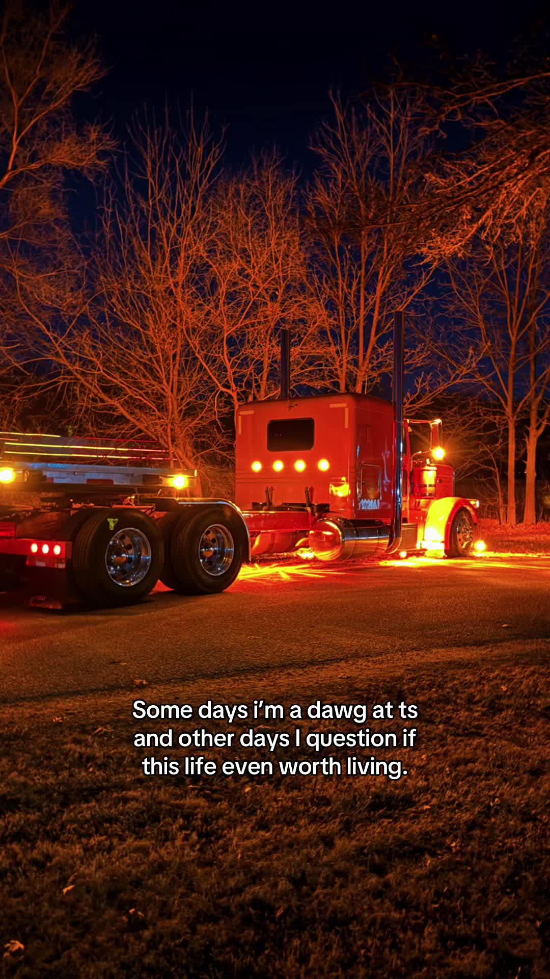 @jb_cattle