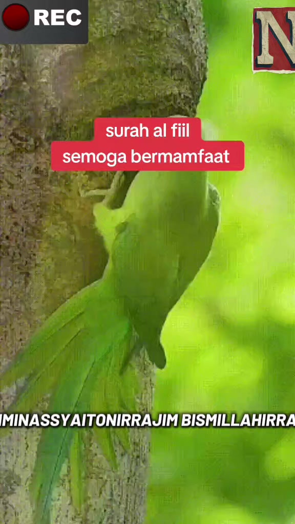 @%Nuraini  TSIsA%