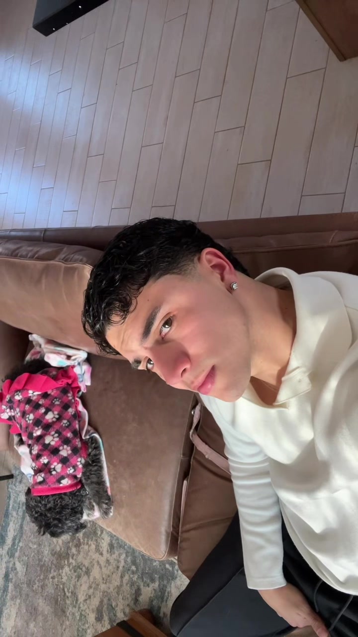 @vicentejeldess