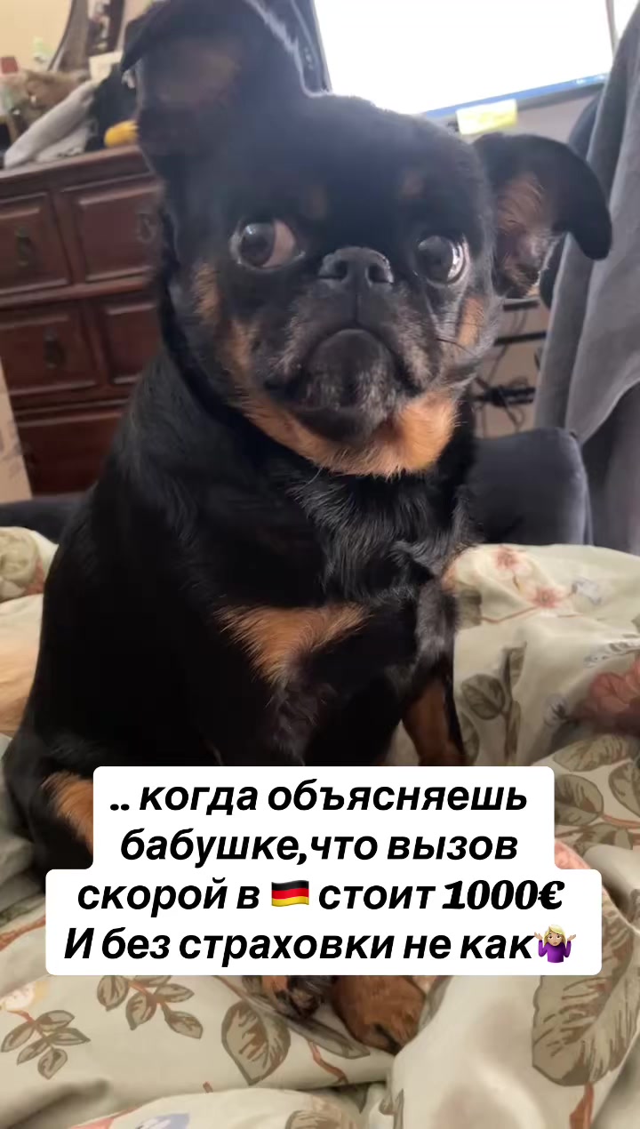 @TigrYulia