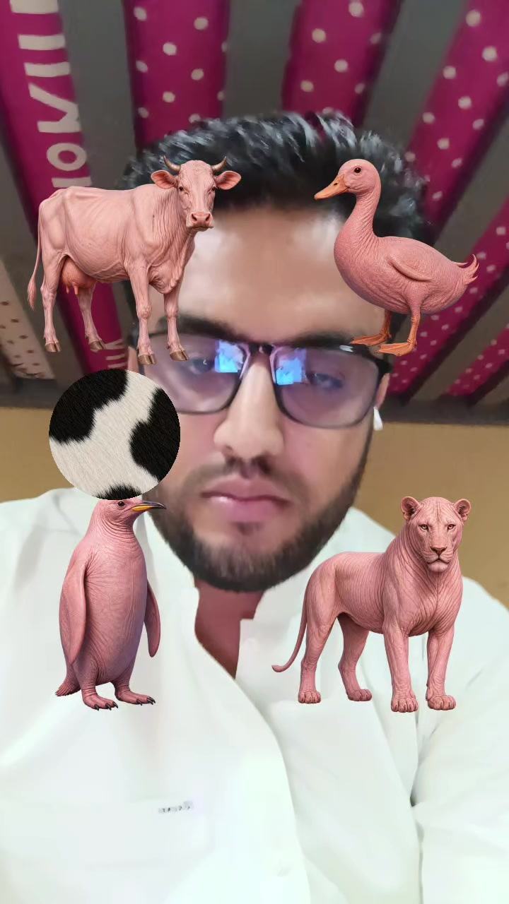 @fazalkhan804