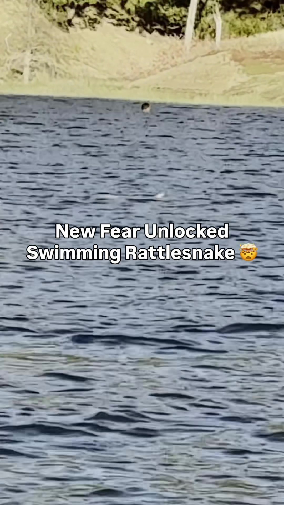 @mustafa.tolosa