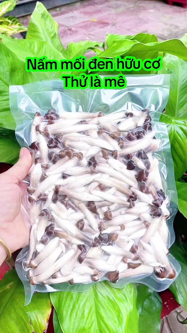 @nguyentuyet_79