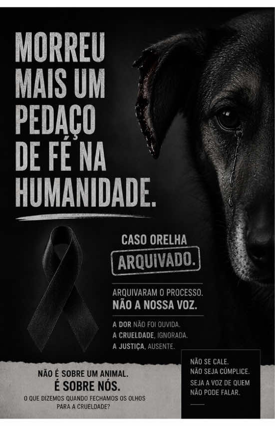 @Elisabete Silva