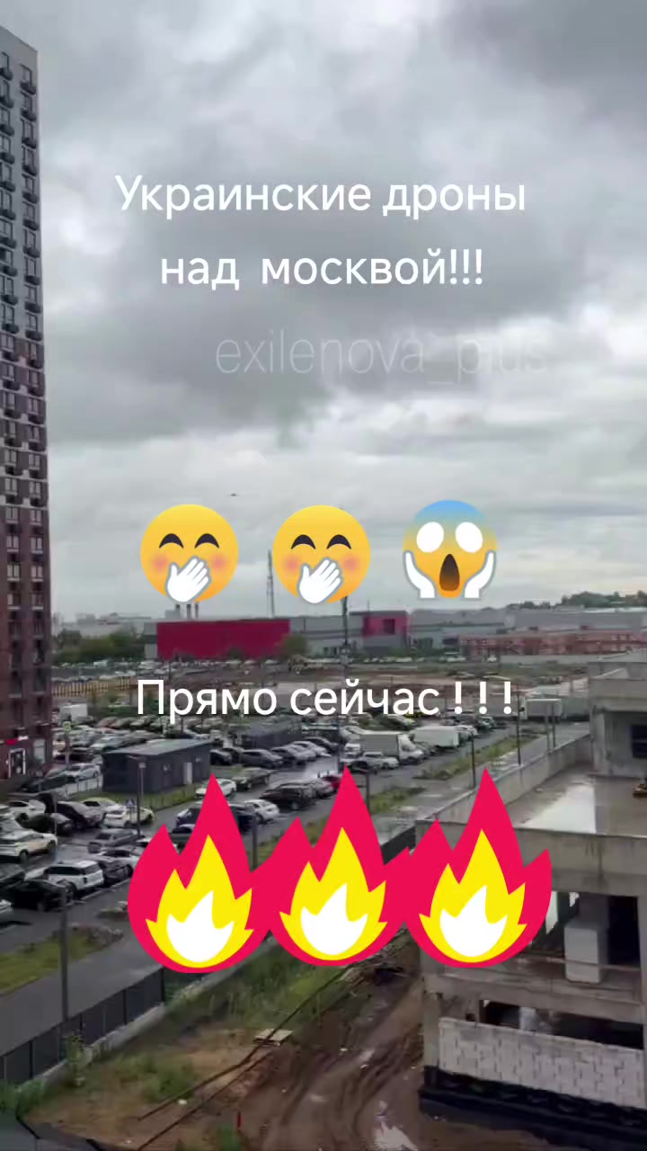 @haliina5