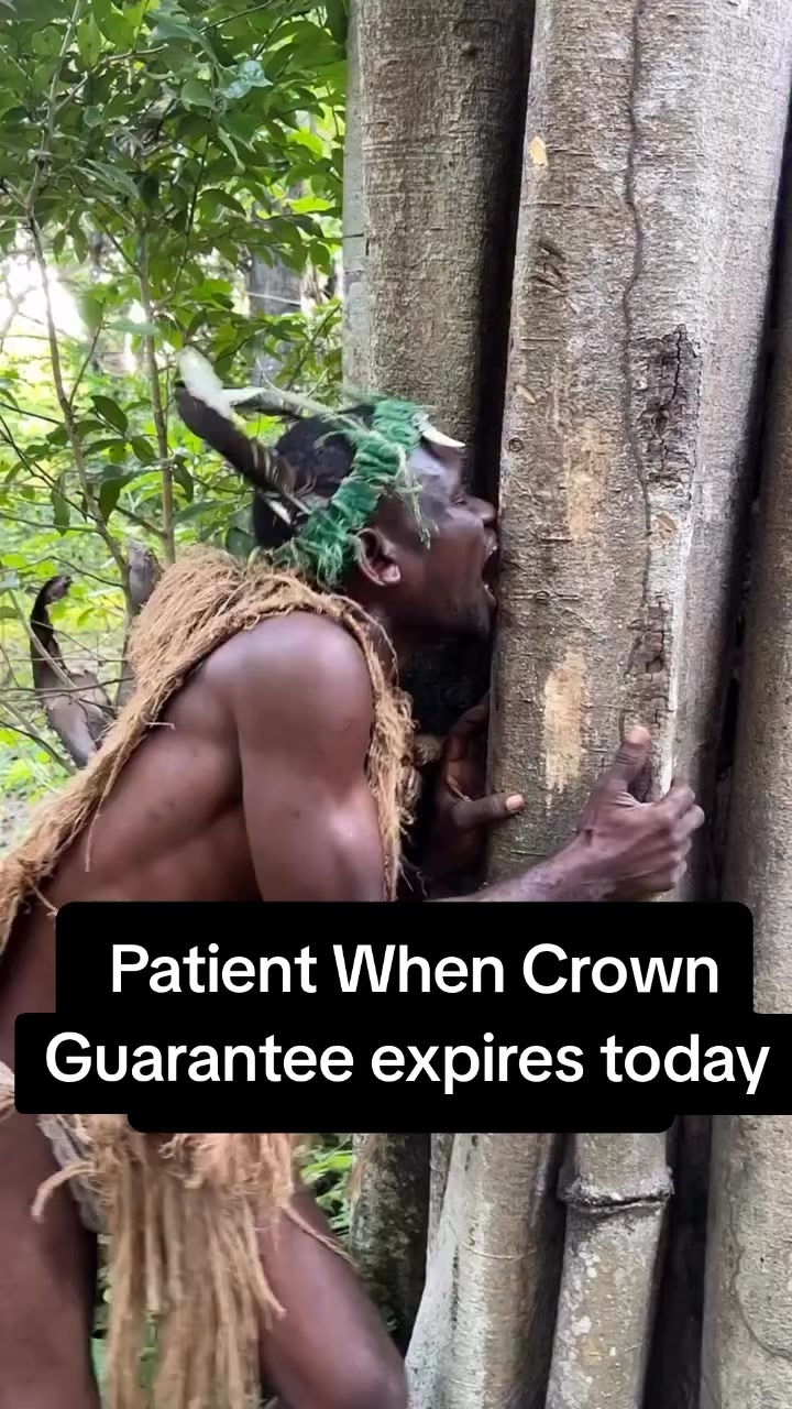 @Dr. Zayed Ahamad