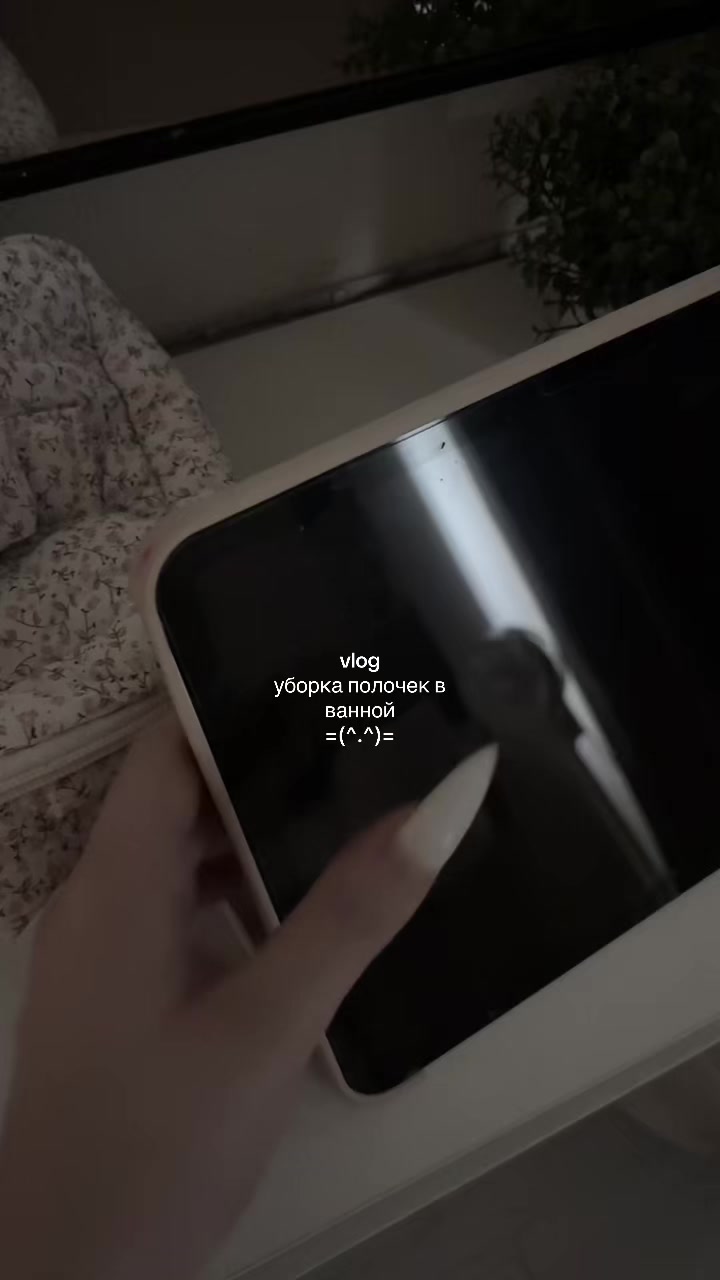 @(_ _).｡o○