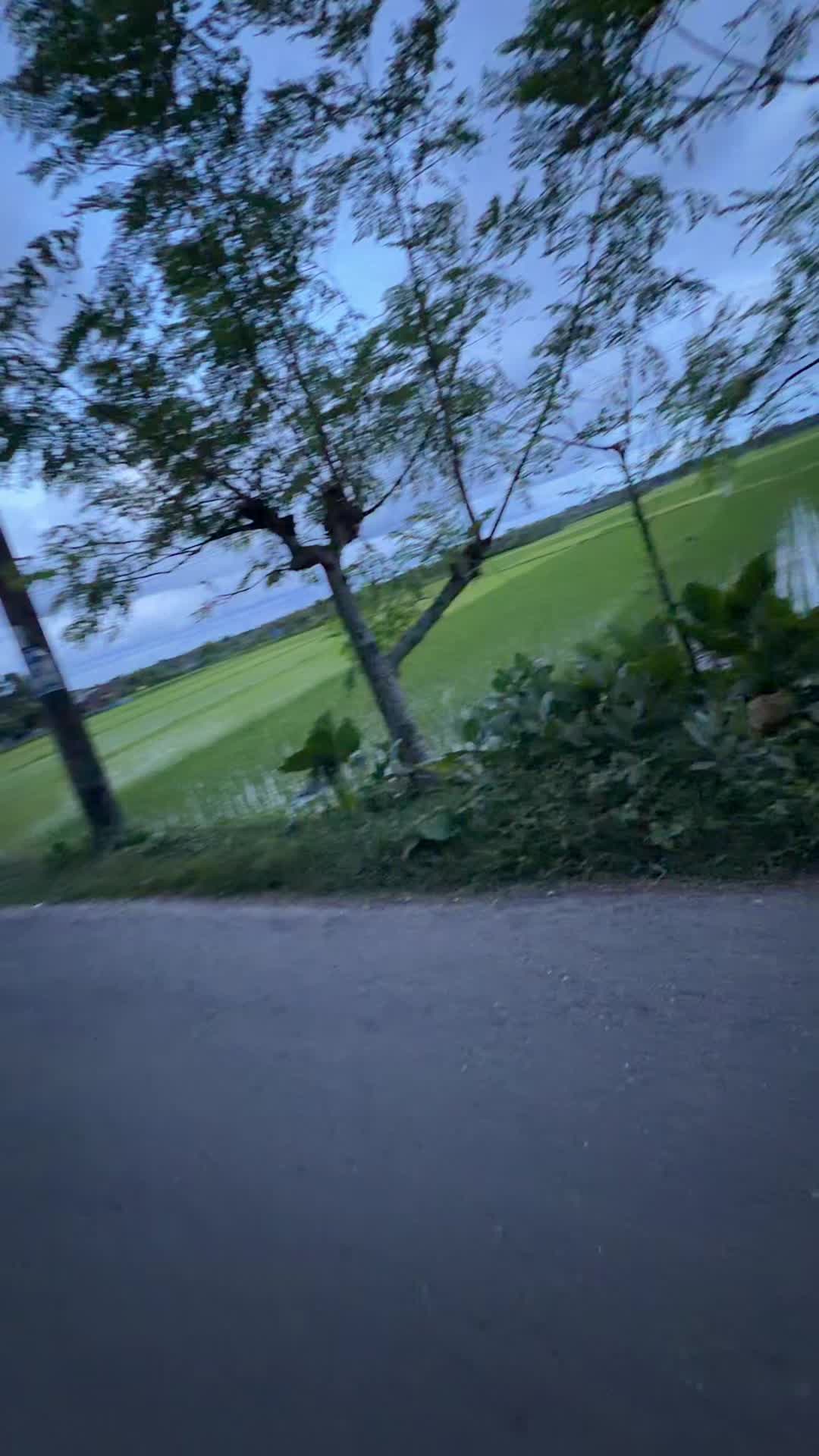 @Afrin Tandra