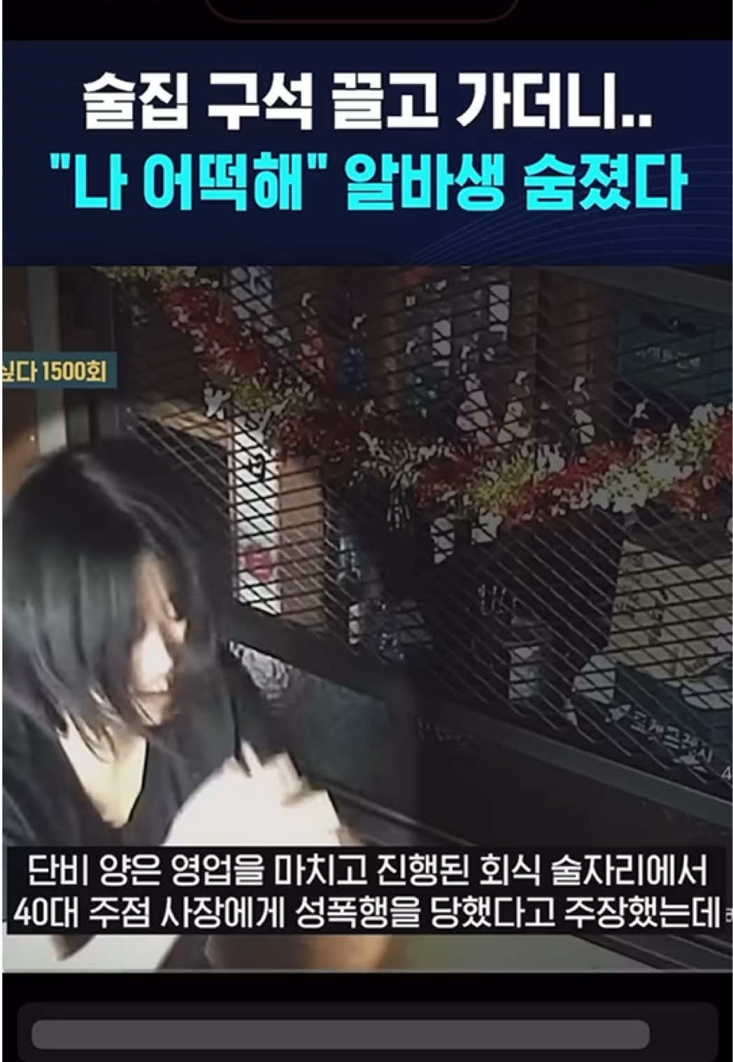 @💙Bella💙 벨라