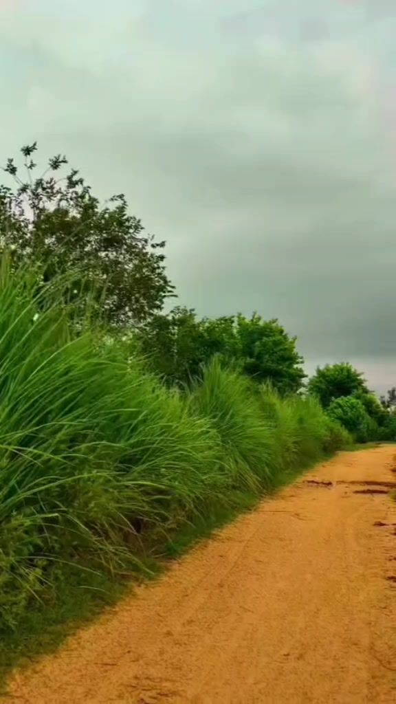 @❤پالاریF❤