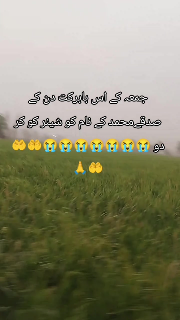 @<'پاگل' ہو >🦋