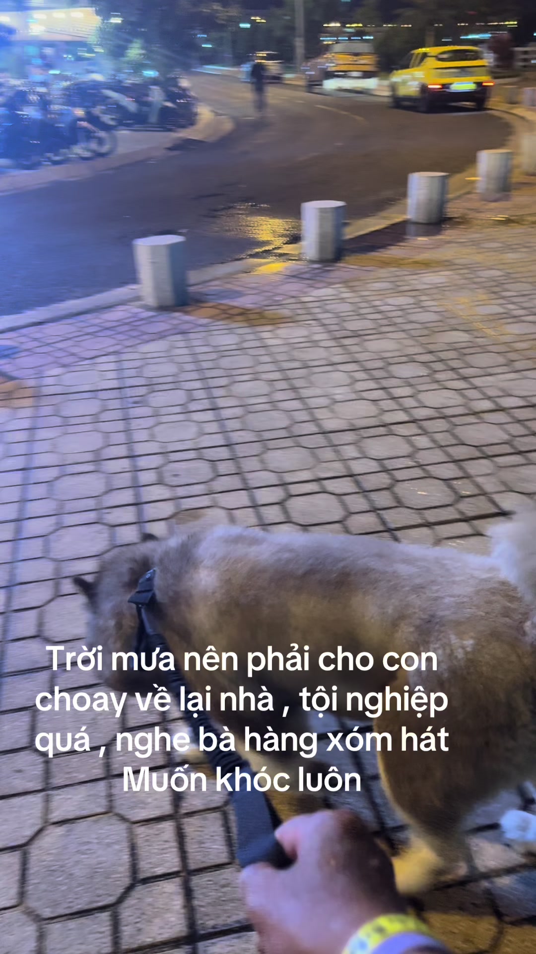 @MinhLee Nha Trang