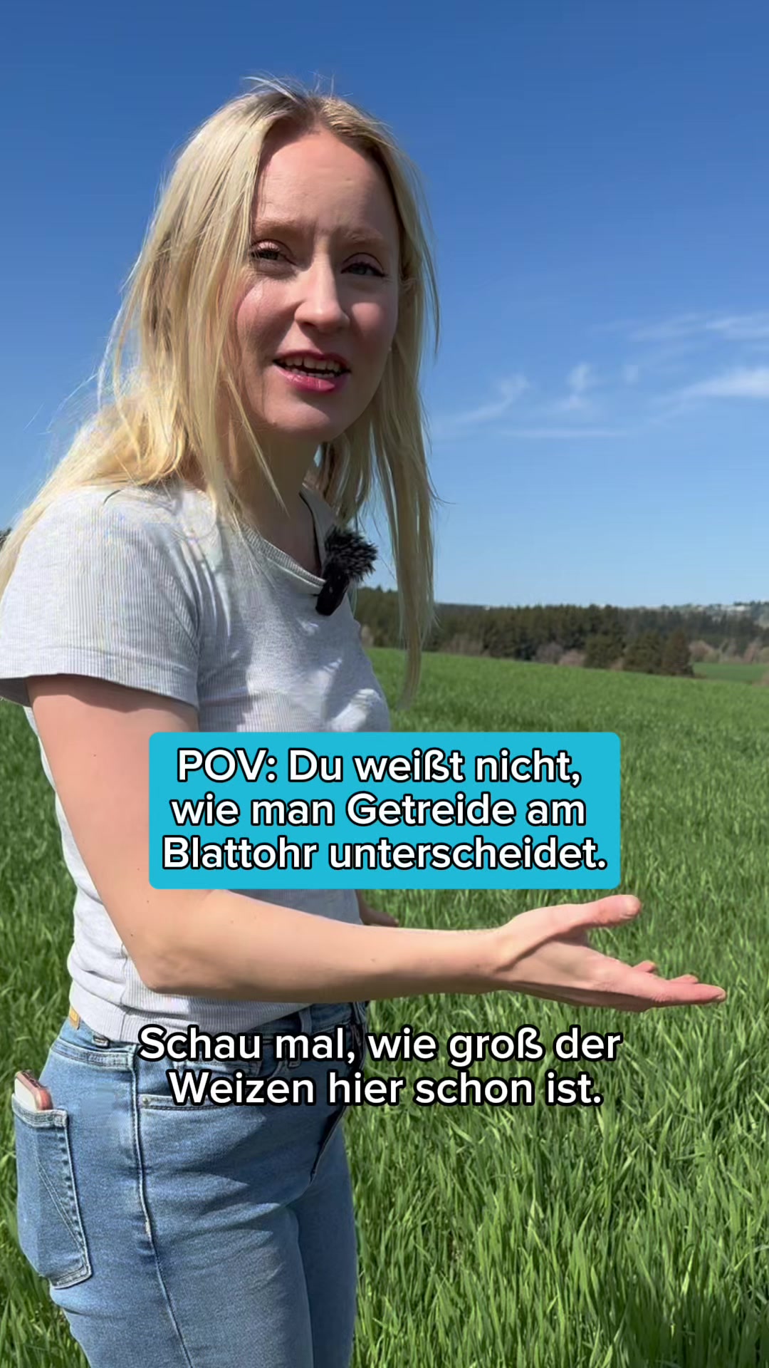 @Schwenks-Hofleben | SWR Heimat