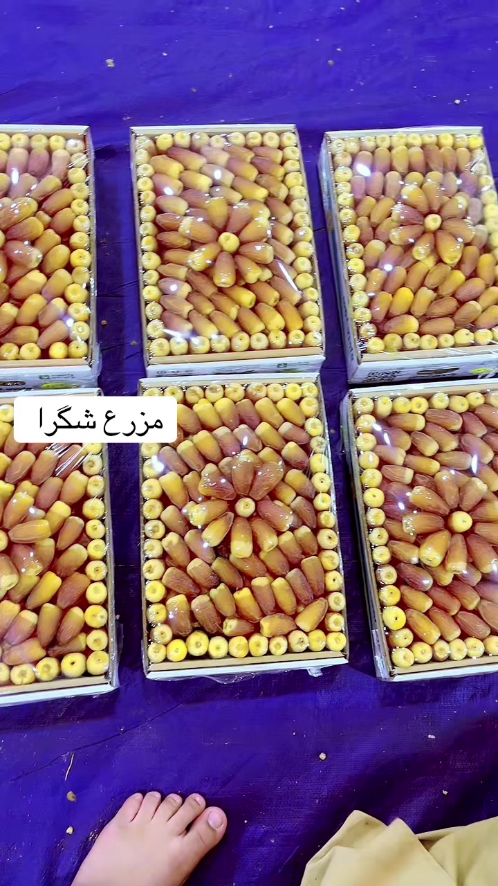 @ابوطلال—🫰🏻