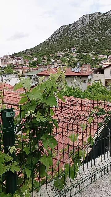 @32 Yörük mercangül 🌹 💕💕💕32