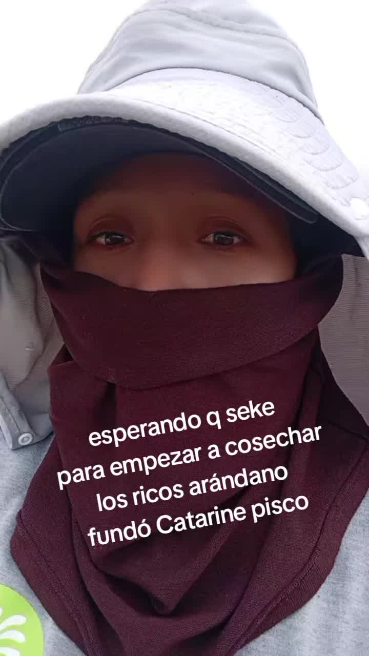@Gisela