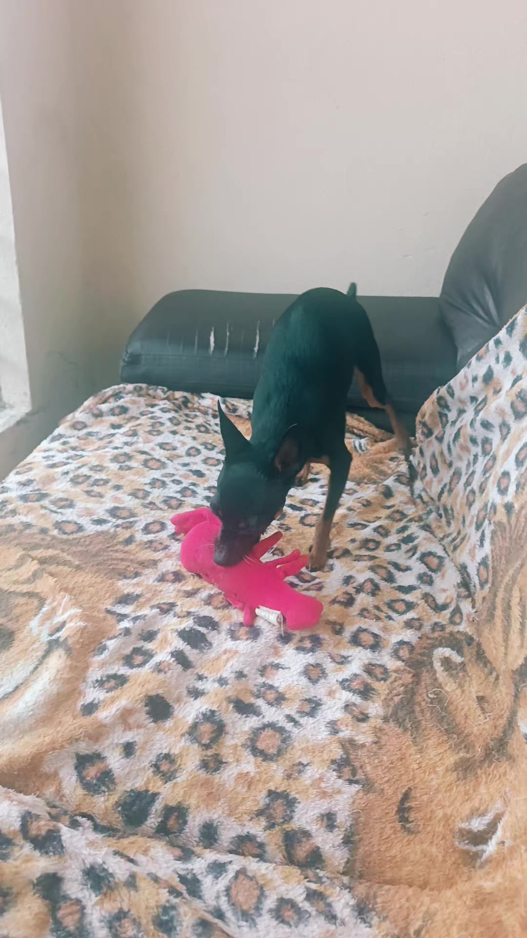 @princesa