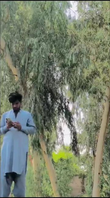 @bilawal7.0