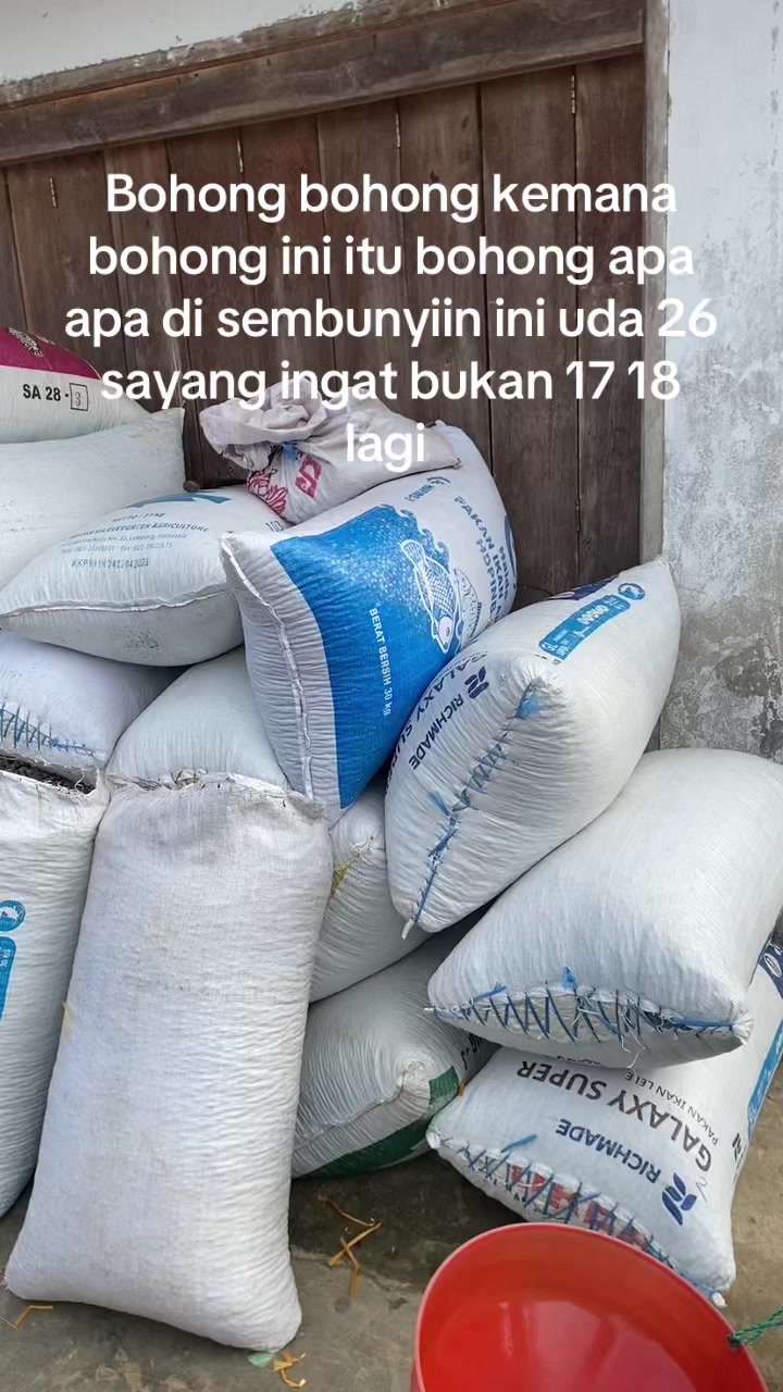 @Pajrul Pala