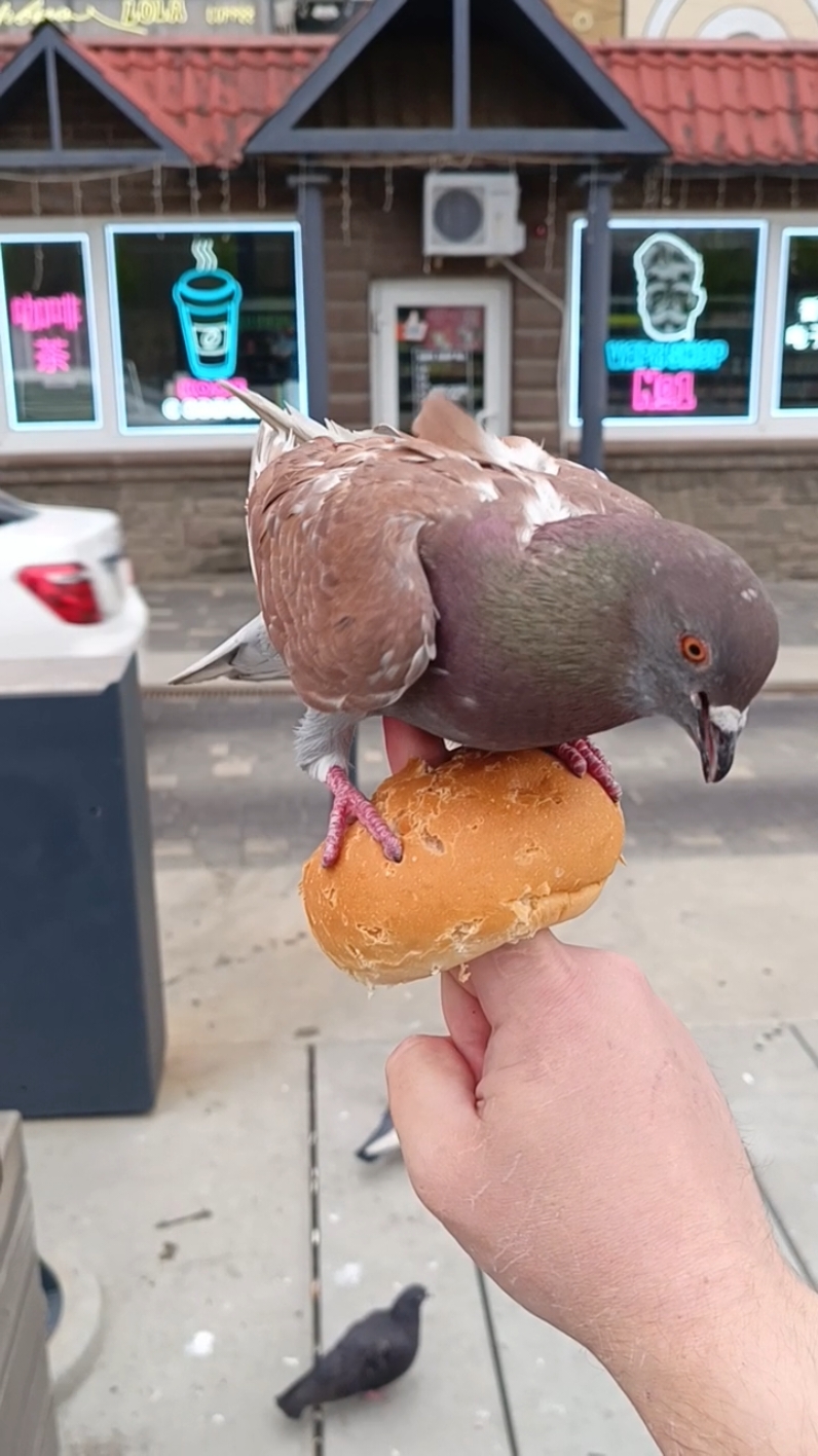 @Angry KFC