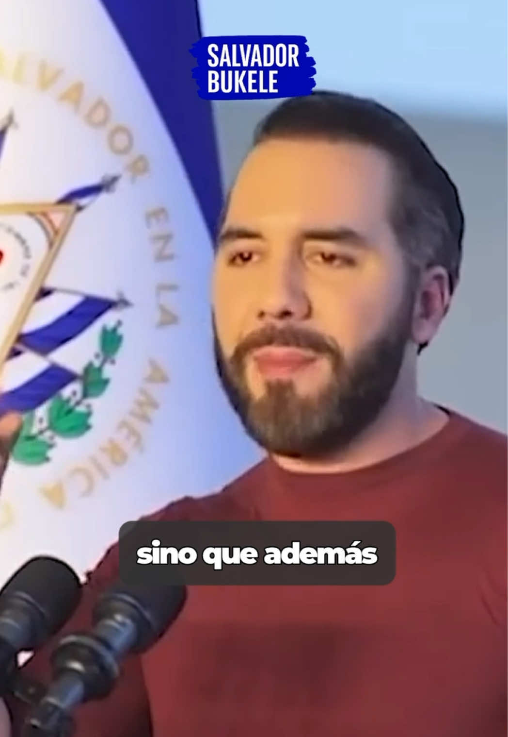 @salvadorbukele