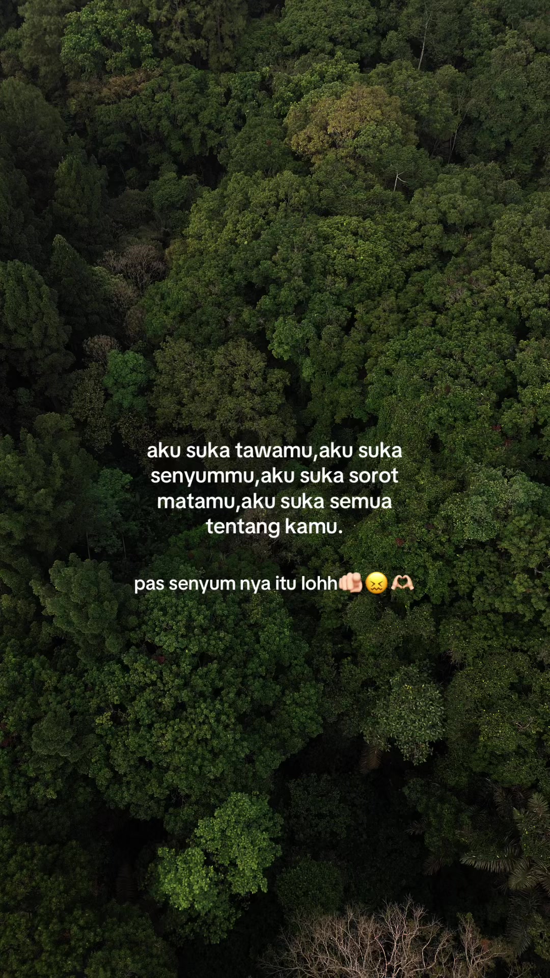 @𝗗𝗶𝗮𝗻𝘆