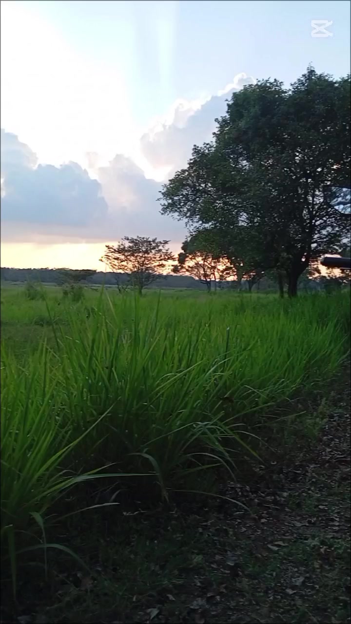 @ᓂ།ᰈᮀ།ᡂ༐ཝளிᰈاᩴ ⃡இពথꪆծᰈᮀ།❤