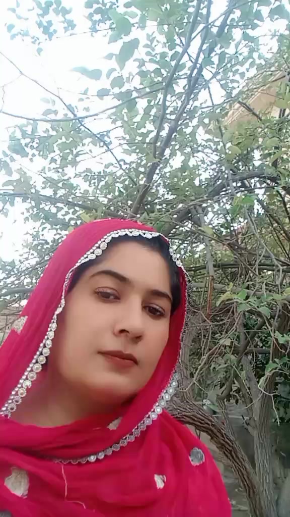 @MHaseeb