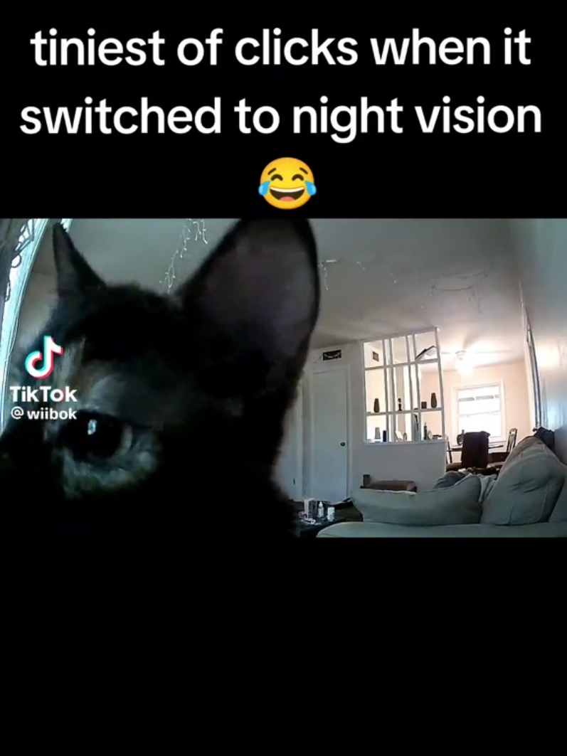 @Shadowninja🇨🇦