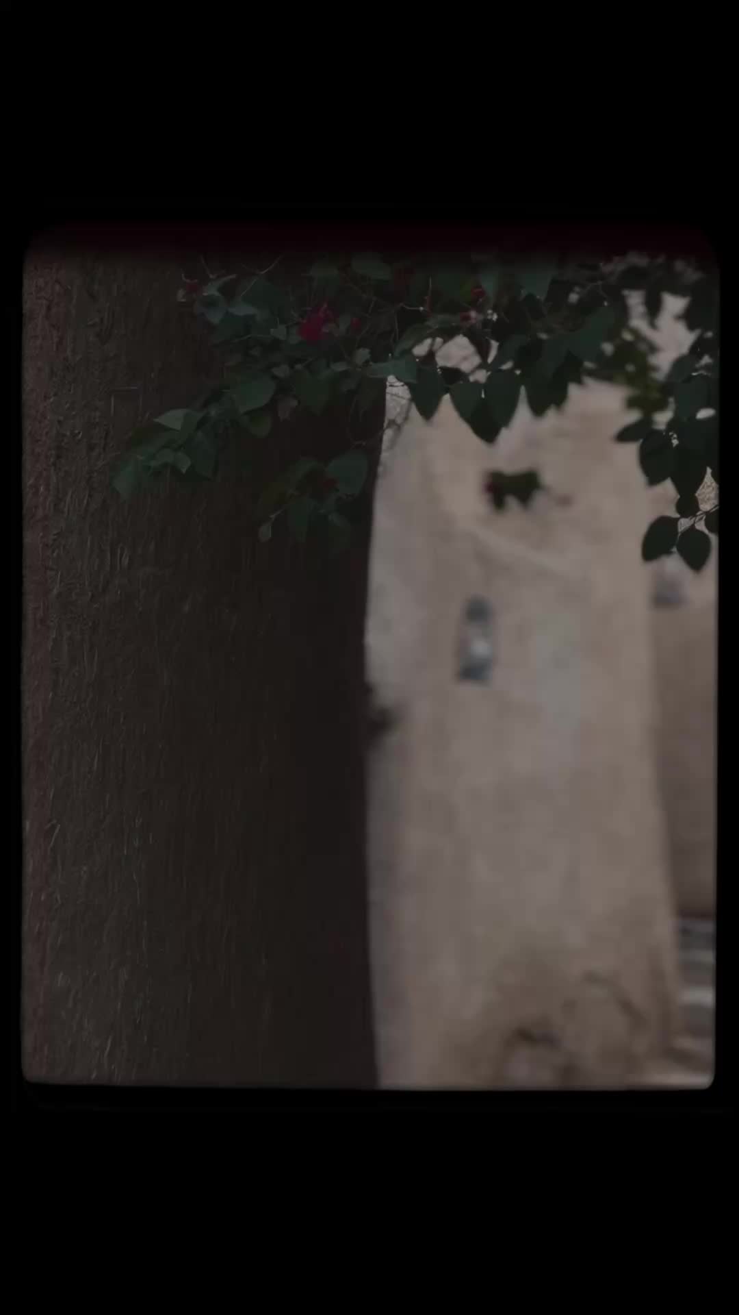 @𝗛𝗮𝗿𝗿𝘆