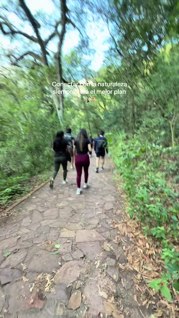@queseleantojaalareyyna