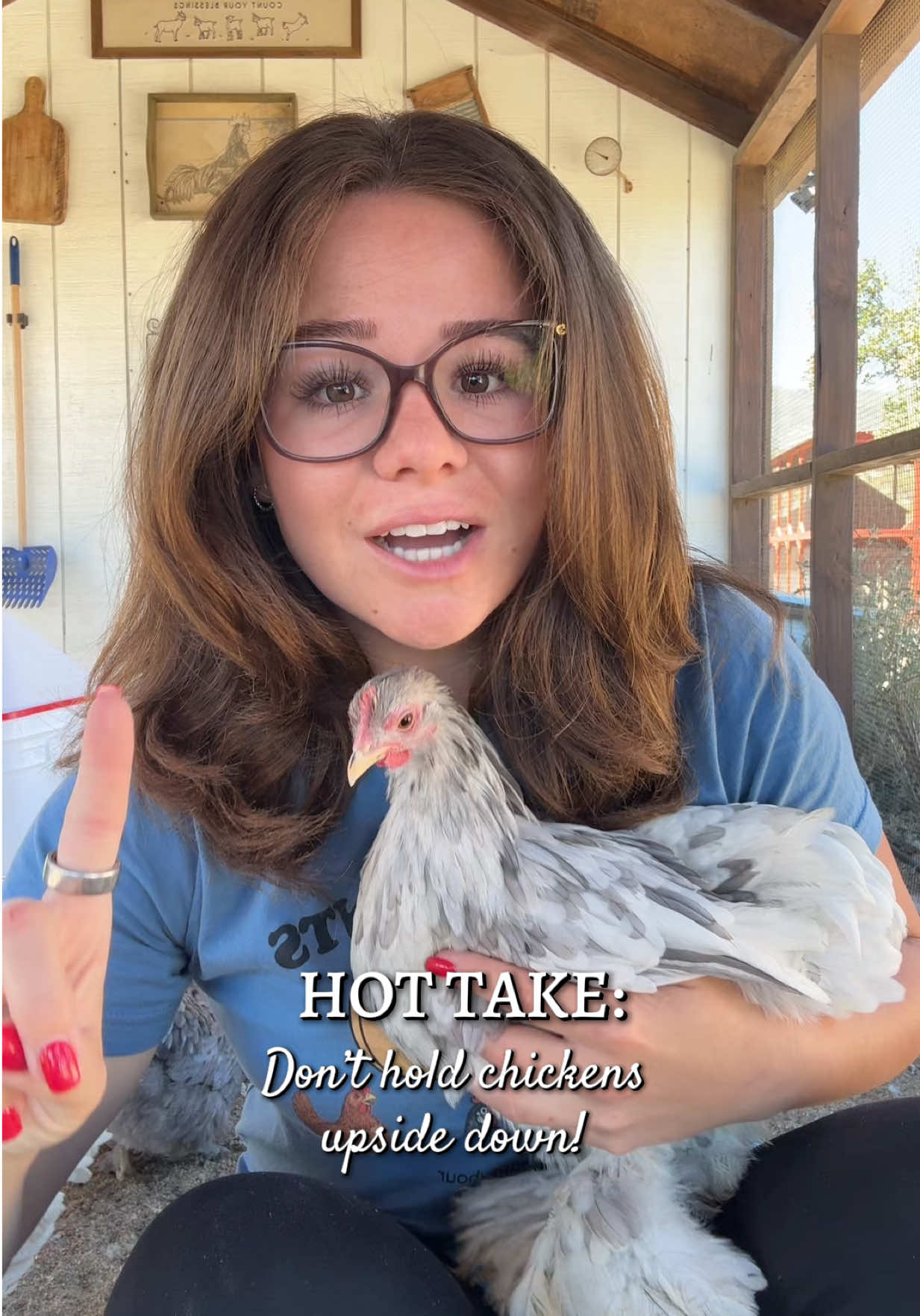 @Simply Chickens