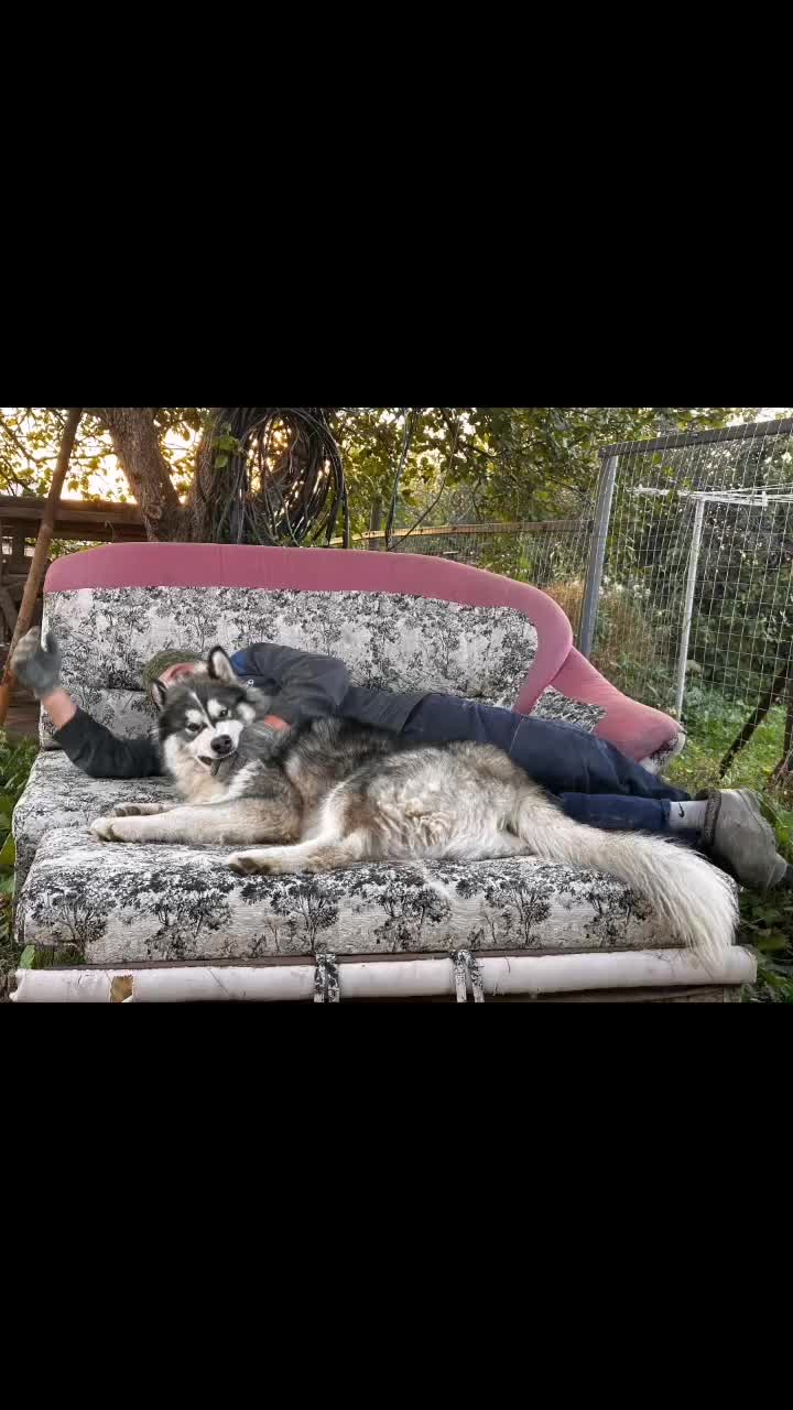 @Сергей