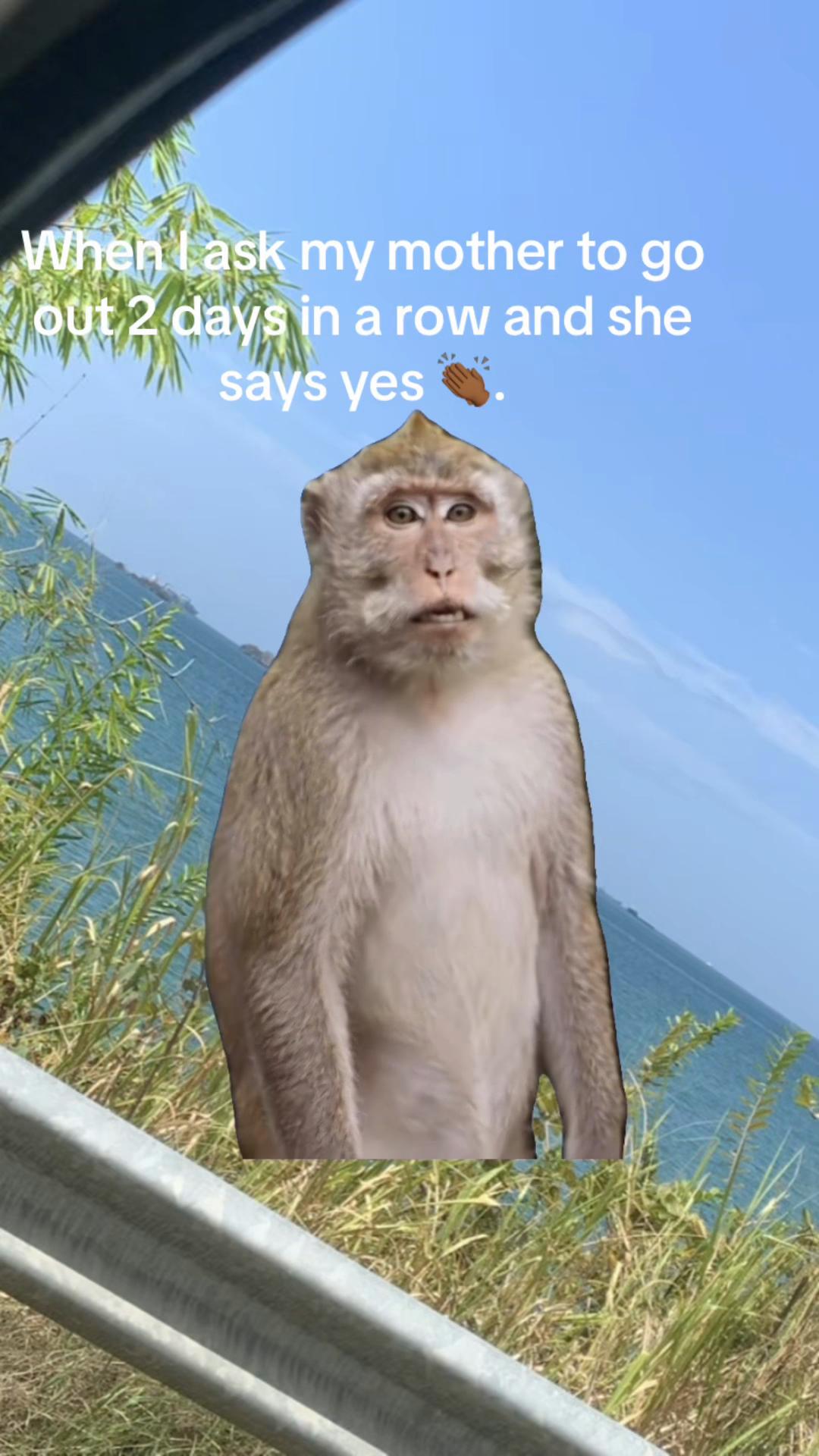@Fari-alt