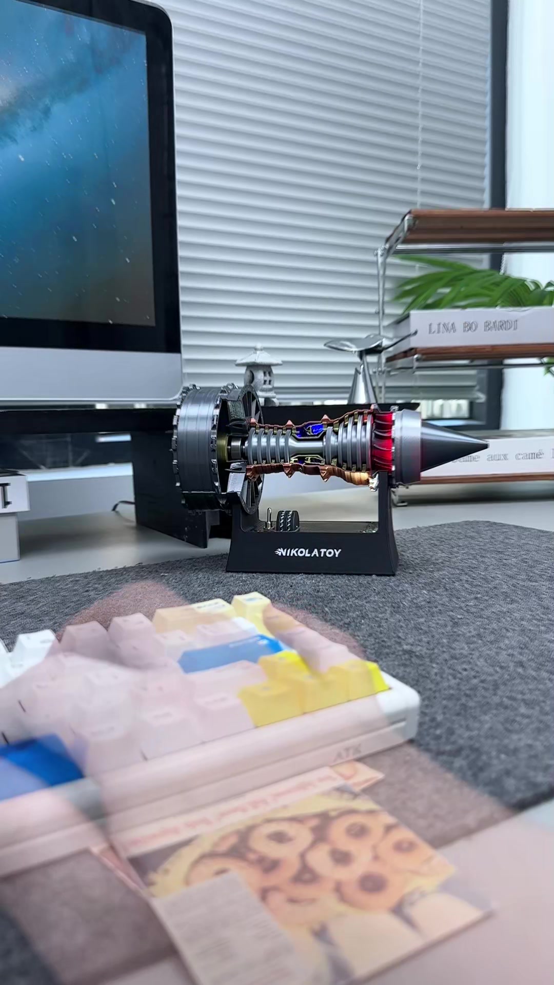 @Nikola Toy