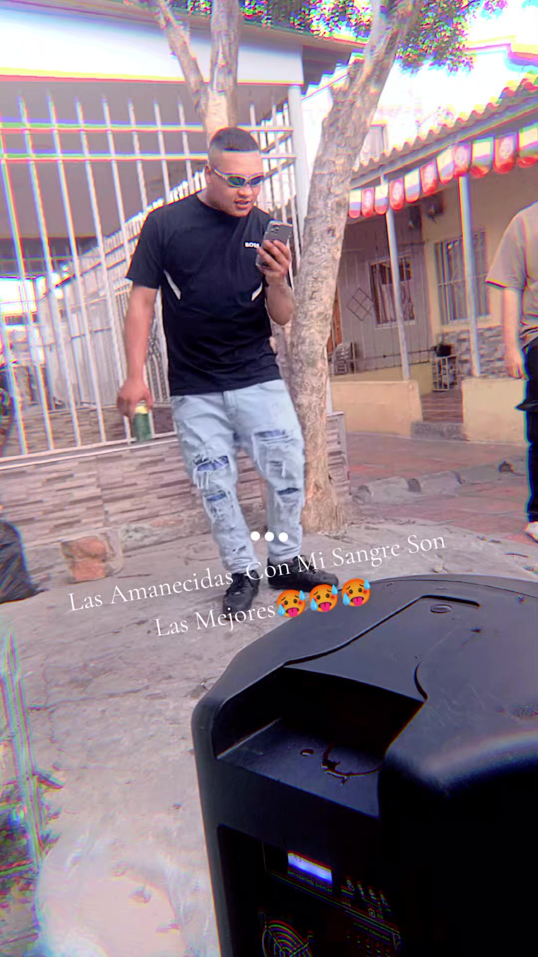 @mileguarin542