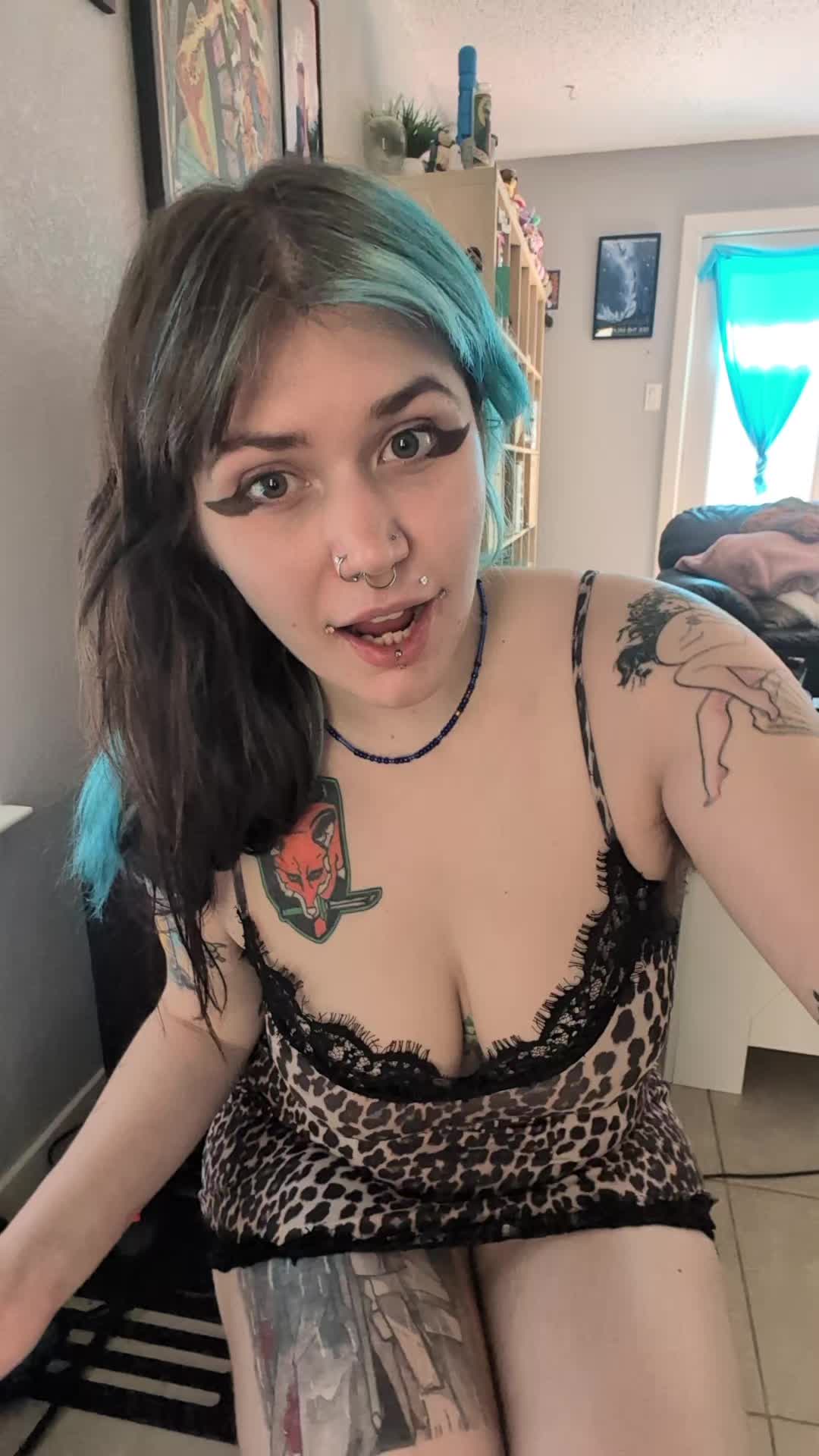 @JJ kitty cat :3 ๐พ๐๐ฏ