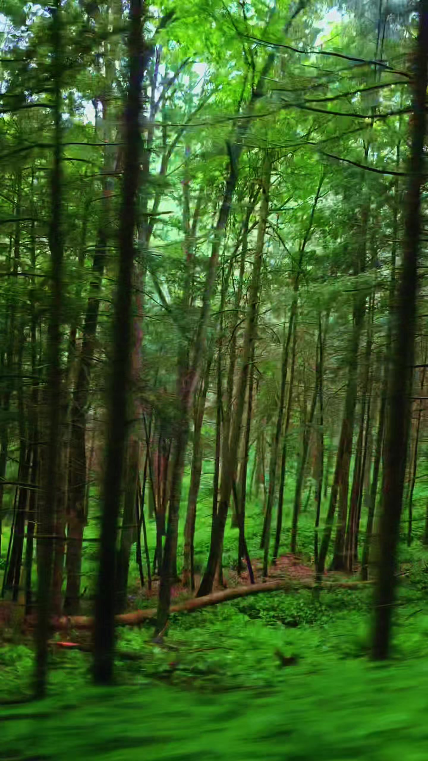 @Ciara • Adventure || Nature •