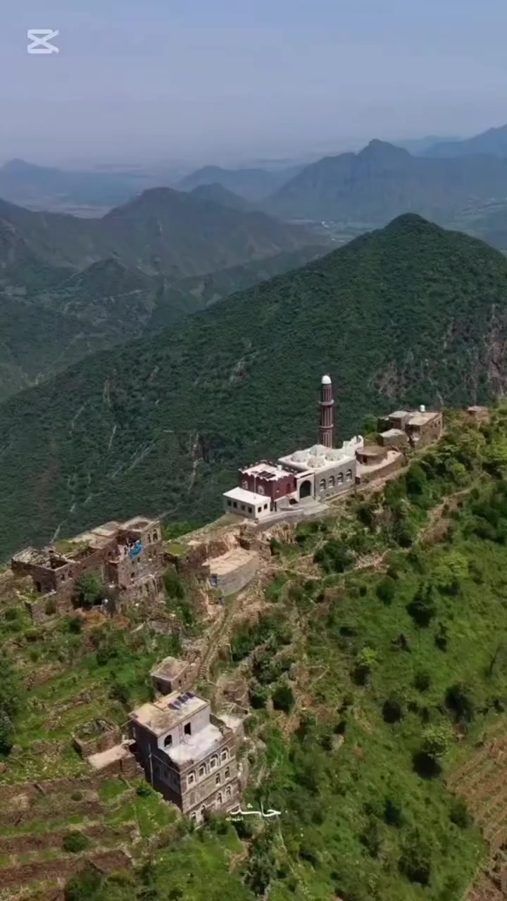@الأمل الأخضر