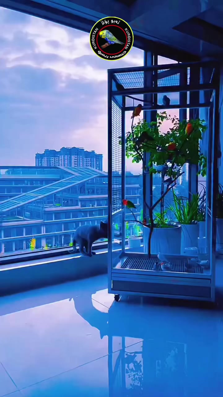 @أبو پؤلا