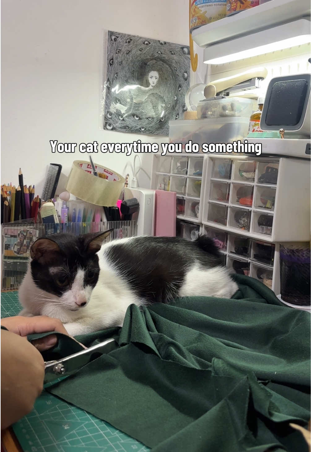 @Pink Neko